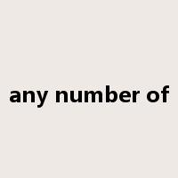 any number of是什么意思