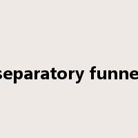 separatory funnel是什么意思