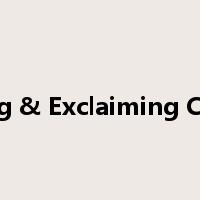 Shining & Exclaiming Concert是什么意思