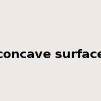 concave surface是什么意思
