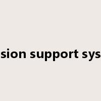 decision support system是什么意思