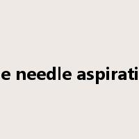 fine needle aspiration是什么意思