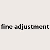 fine adjustment是什么意思