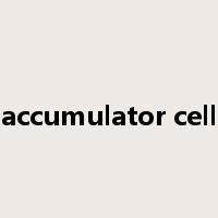 accumulator cell是什么意思