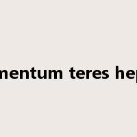ligamentum teres hepatis是什么意思