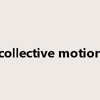 collective motion是什么意思