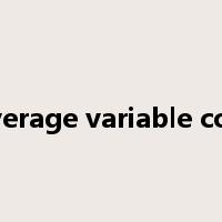 Average variable cost是什么意思