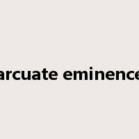 arcuate eminence是什么意思