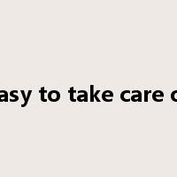 easy to take care of是什么意思