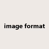 image format是什么意思