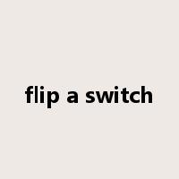 flip a switch是什么意思