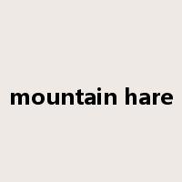 mountain hare是什么意思