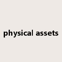 physical assets是什么意思
