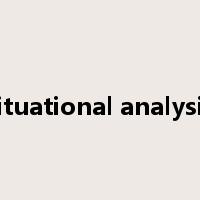 situational analysis是什么意思