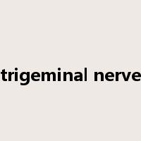 trigeminal nerve是什么意思