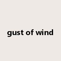gust of wind是什么意思