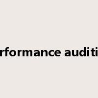 performance auditing是什么意思