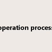 operation process是什么意思