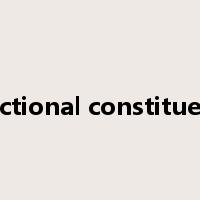 functional constituency是什么意思