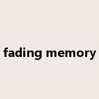 fading memory是什么意思