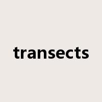 transects是什么意思