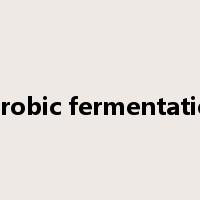 aerobic fermentation是什么意思