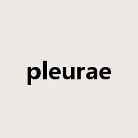 pleurae是什么意思