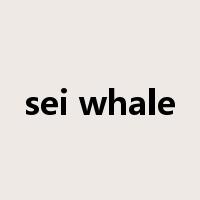 sei whale是什么意思
