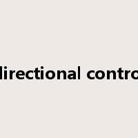 directional control是什么意思