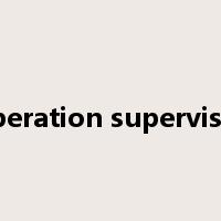operation supervisor是什么意思