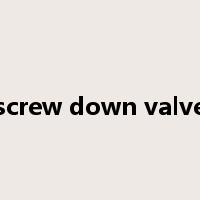 screw down valve是什么意思