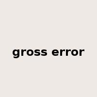 gross error是什么意思