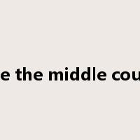 take the middle course是什么意思