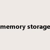 memory storage是什么意思
