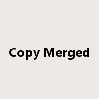 Copy Merged是什么意思