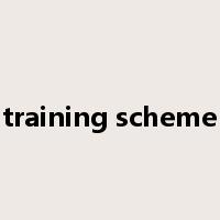training scheme是什么意思