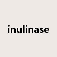 inulinase是什么意思