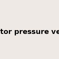 reactor pressure vessel是什么意思