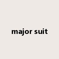 major suit是什么意思