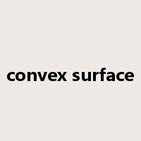 convex surface是什么意思
