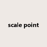 scale point是什么意思