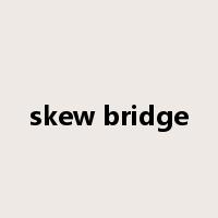 skew bridge是什么意思