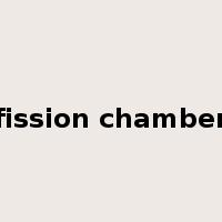 fission chamber是什么意思