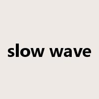 slow wave是什么意思