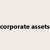 corporate assets是什么意思