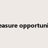 treasure opportunity是什么意思