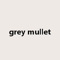 grey mullet是什么意思