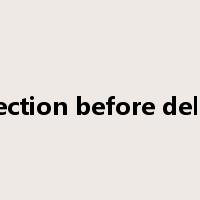 inspection before delivery是什么意思