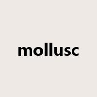 mollusc是什么意思