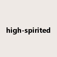 high-spirited是什么意思